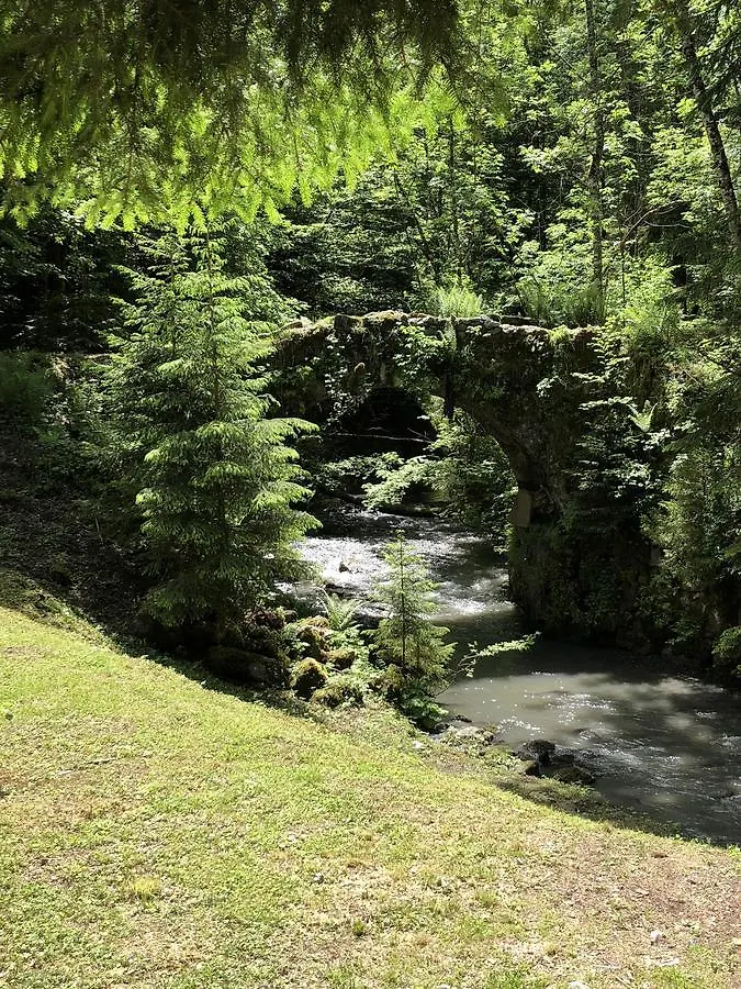 Villa Le Moulin des Olirics à Sallanches
